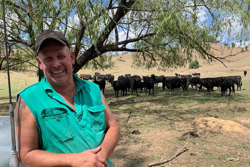 Calves and lambs surviving