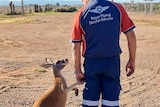 A man holds hands with a kangaroo