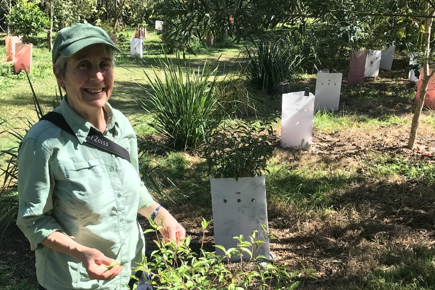 Susie Duncan smiles at the camera in a stand of newly planted native trees.
