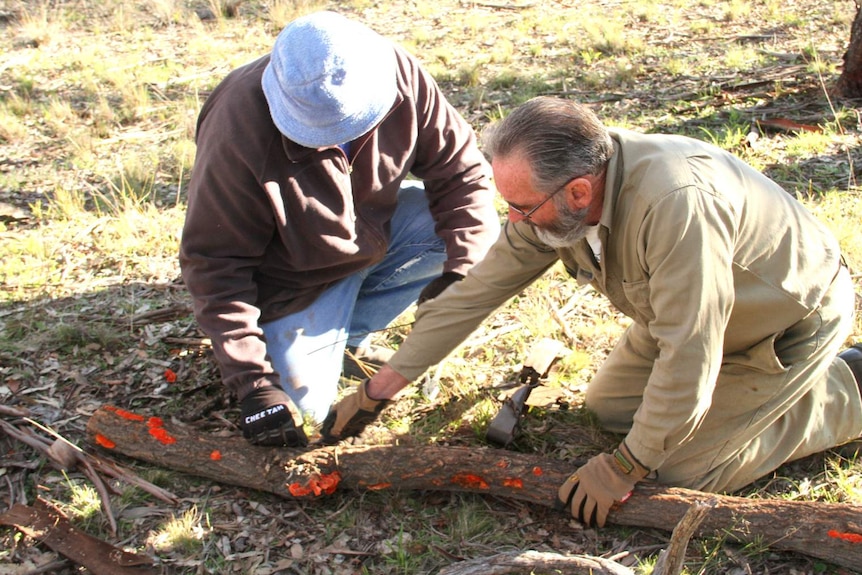 Trapper John Ward giving one-on-one instruction