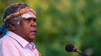 Profile of older man with ceremonial head band and white ocre across forehead, speaking with mic in front of him. Outdoors.