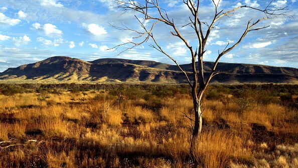 grassy landscape with spinifex, and Hammersley Ranges in the background