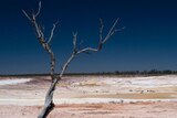 El Ninos cause low rainfall in eastern Australia
