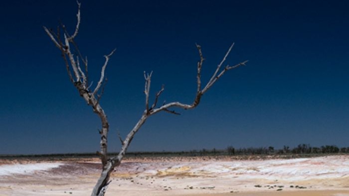 El Ninos cause low rainfall in eastern Australia