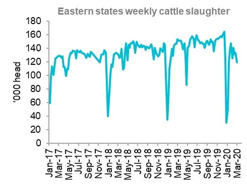 A graph showing the record slaughter rates in Australia for cows and heiffers.