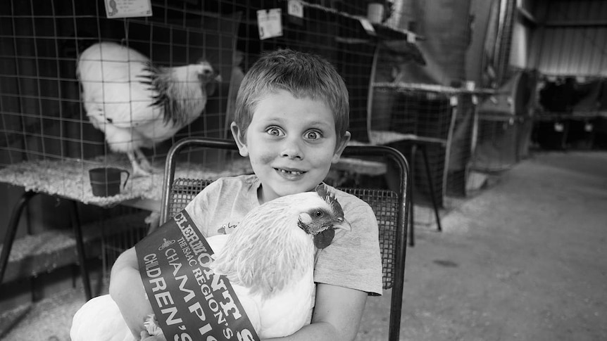 A young boy sits on a chair, clutching his chook with a first place ribbon wrapped around them both