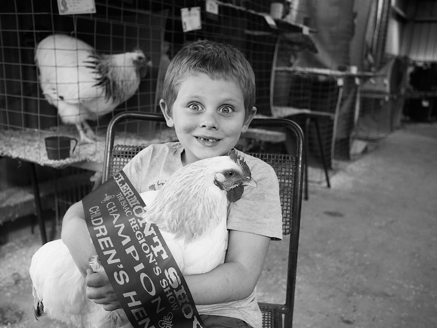 A young boy sits on a chair, clutching his chook with a first place ribbon wrapped around them both