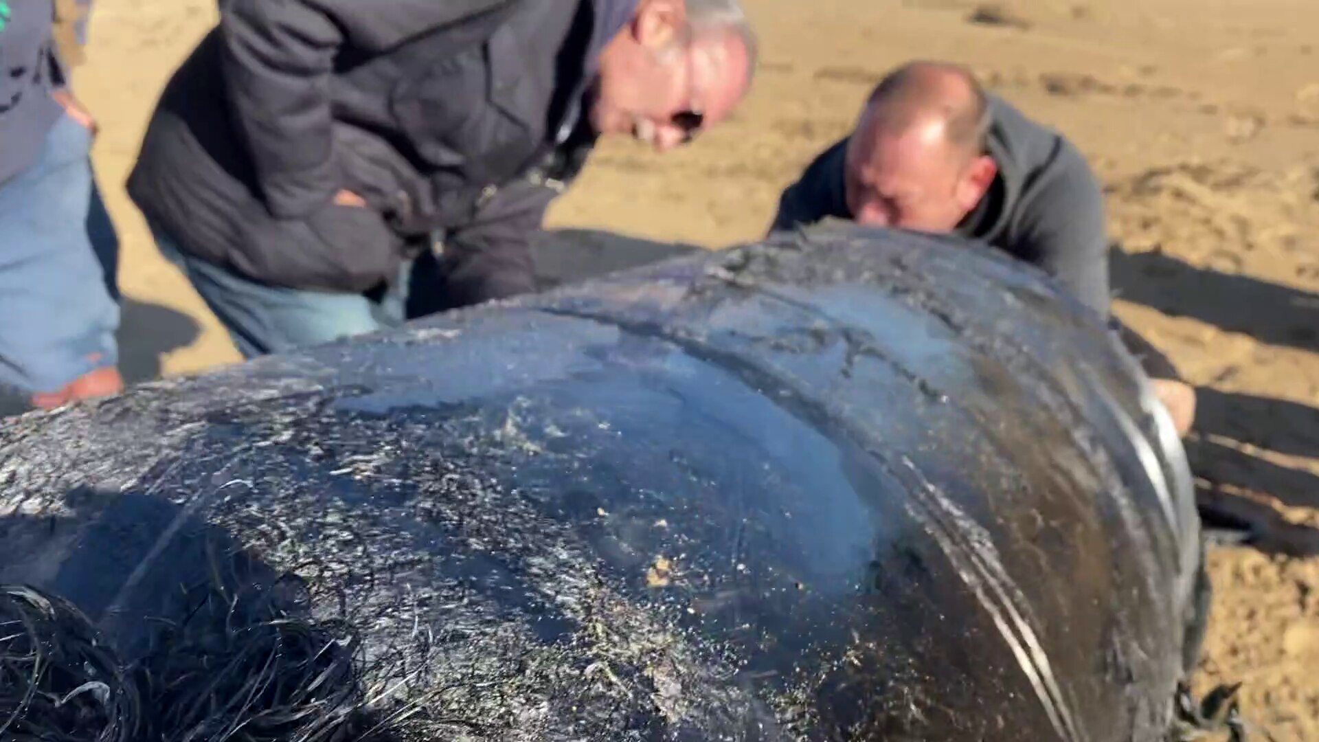 two men on a large black container