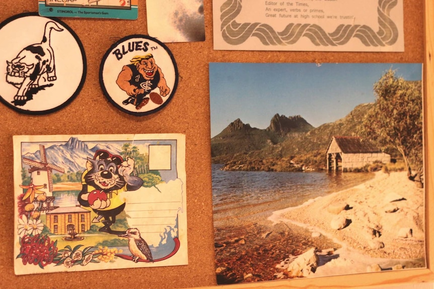A corkboard with memorabilia and postcards of Tasmania pinned to it.