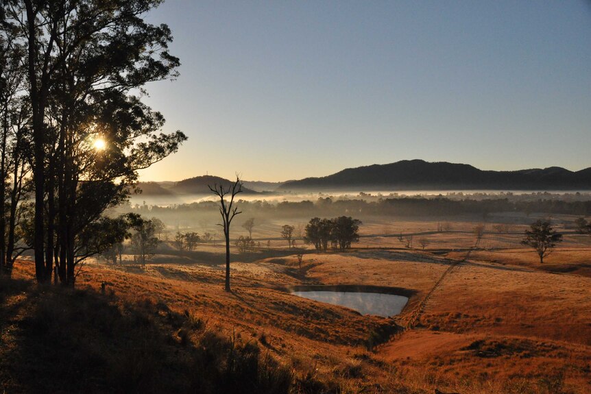 Gloucester Valley in NSW