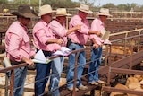 Saleyard Auctioneers taking bids from graziers at the first sale in Longreach in five years