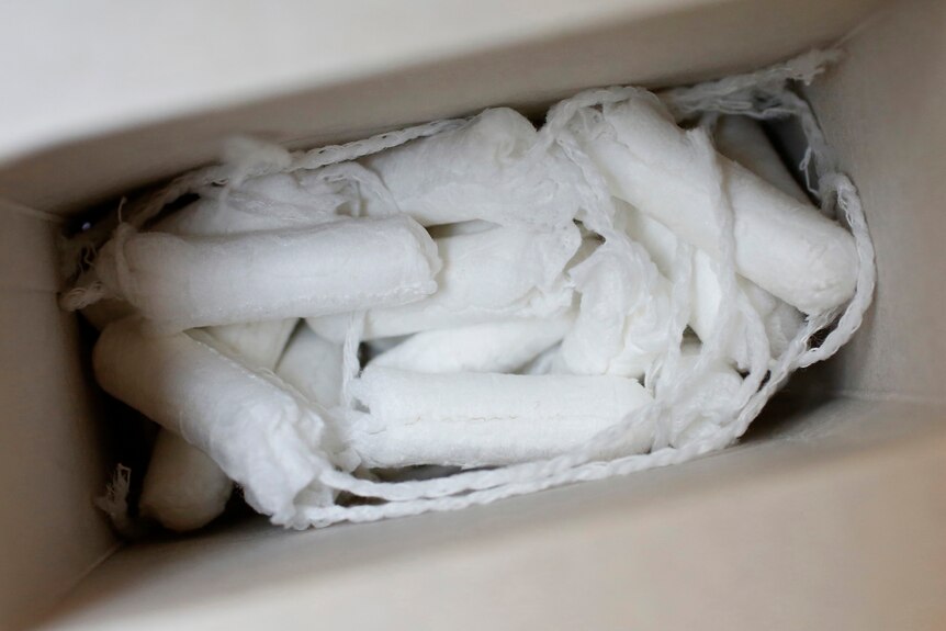 White tampons inside a cardboard pack. 