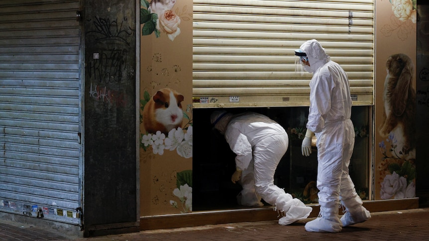 Wildlife officers with personal protective equipment enter a  pet shop