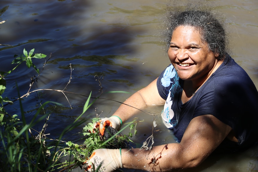 Traditional Owner in blue top wades in water, picking out the weeds.