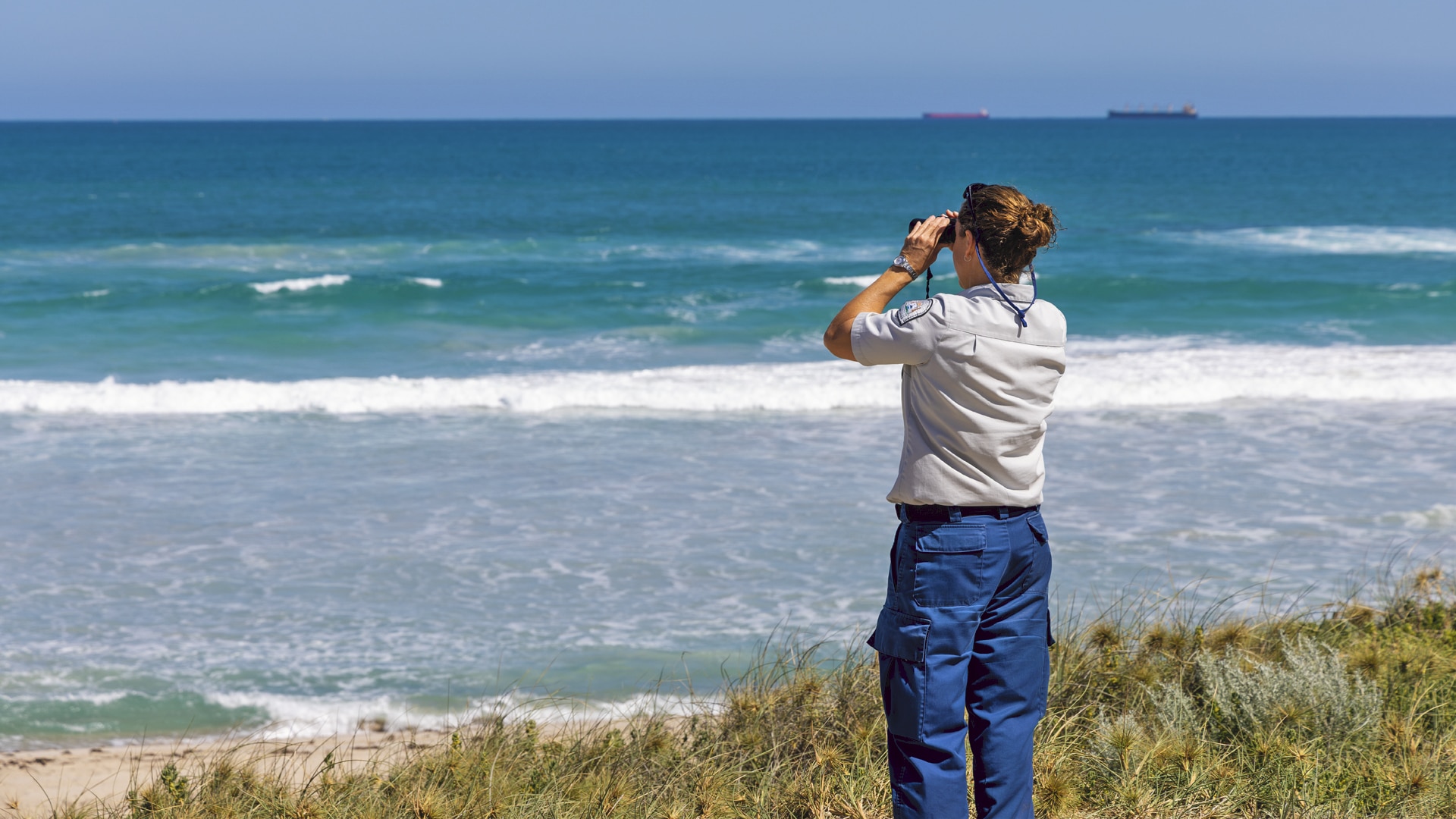 A fisheries officer scans the coast off Glenfield Beach for sharks after Monday morning's attack.