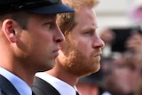 A tight photo of Prince William and Prince Harry in a procession.