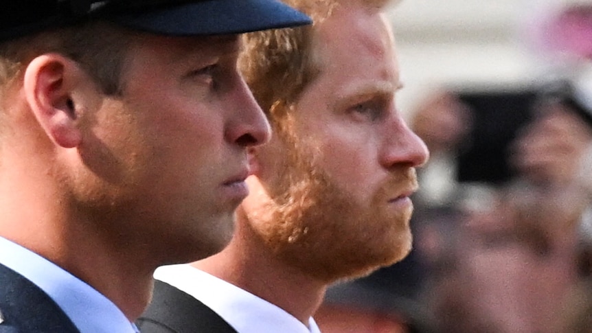 A tight photo of Prince William and Prince Harry in a procession.