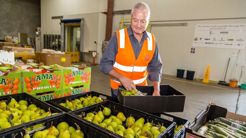 Foodbank Victoria chief executive Dave McNamara puts pears in a box.