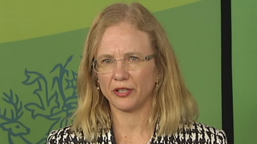Queensland chief health officer Dr Jeannette Young.