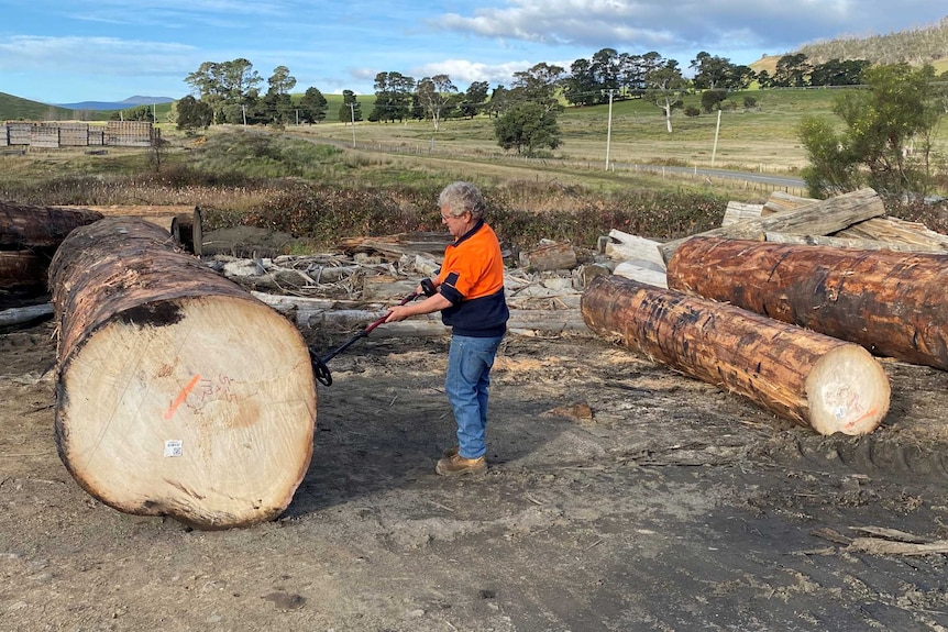 Wayne Booth from Karanja Timbers in the Derwent Valley, Tasmania, 2020.