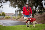 A woman with a crutch and guide dog stands outside a suburban street.