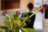 A blurred image of a woman standing in a kitchen with red tulips in the foreground.