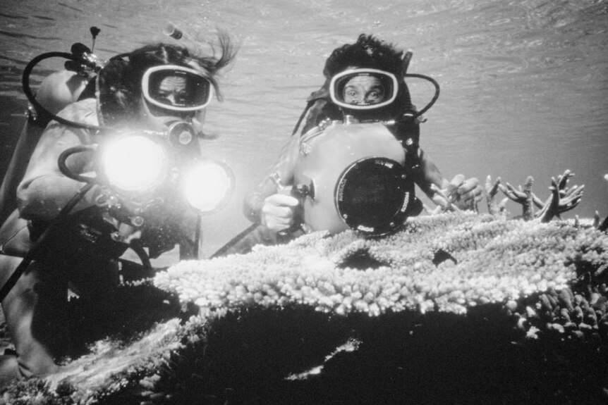 Black and white footage of divers with camera and lights filming coral.