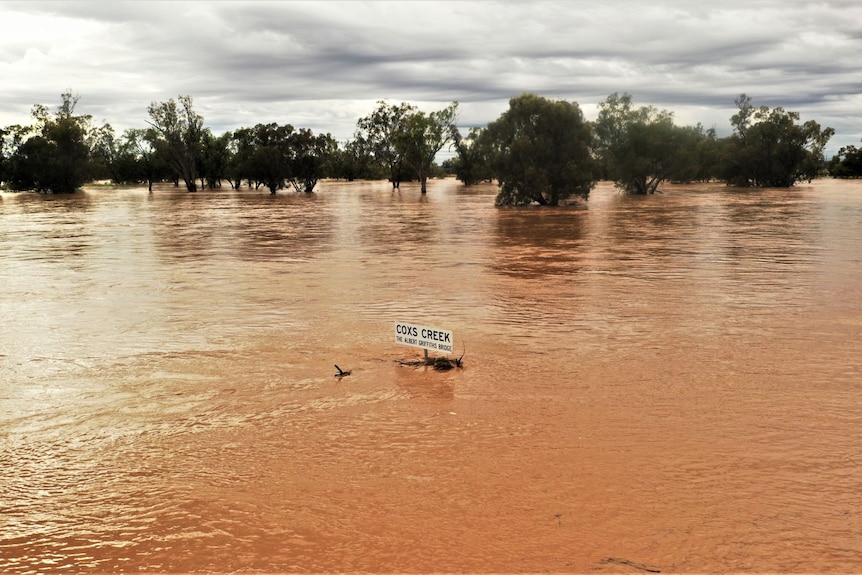 A sign is flooded with brown water.