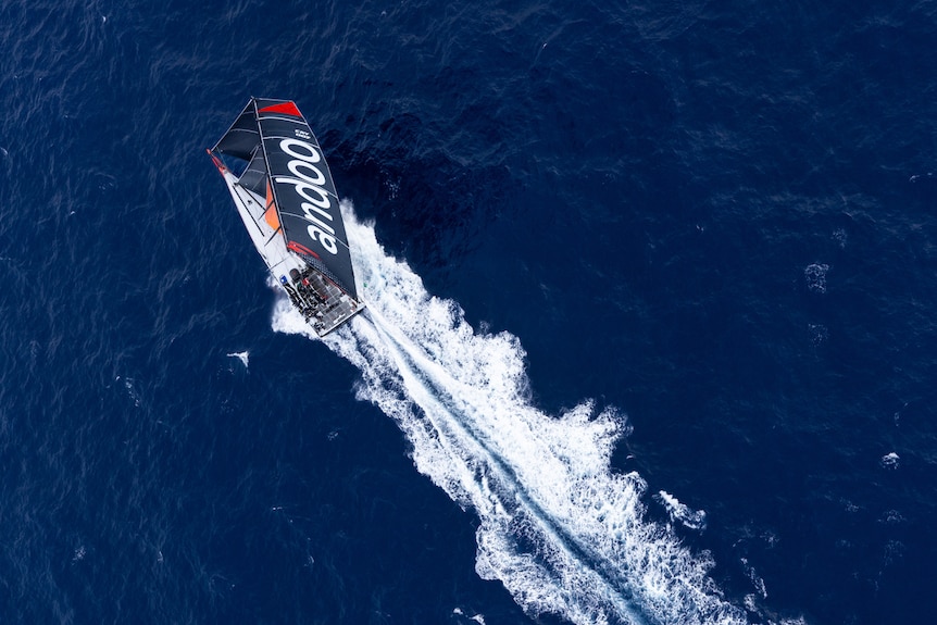 Andoo Comanche sailing the sea.