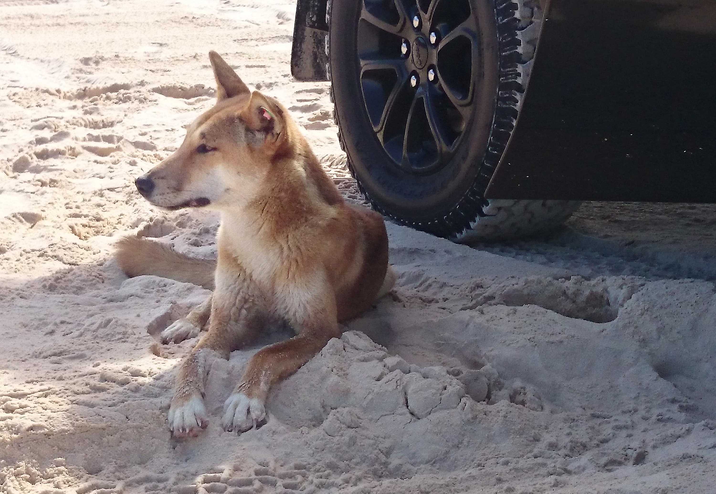 d6df6fe66a08ec6c5ed54d866c012beb?impolicy=wcms_crop_resize&cropH=2001&cropW=3000&xPos=0&yPos=0&width=862&height=575