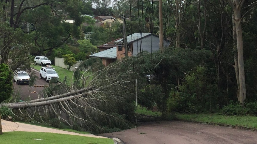 Power outages could last for days