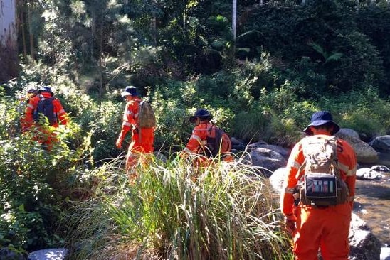 About 30 square kilometres were searched by volunteers and a specialist team from the Federation of Bushwalkers.