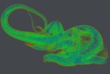 A bright green X-ray scan of an Australia Lace Monitor with a long tail clearly distinguishable.
