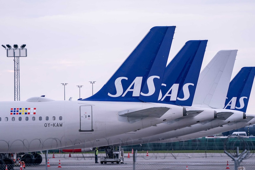 A row of planes with SAS logo on their tail parked at airport.