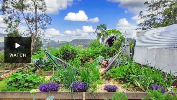 A man in a hammock in a garden vegetable bed. Has Video.