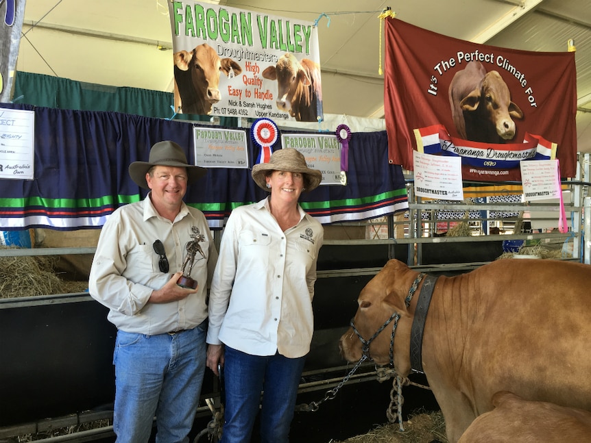 Couple standing with a large cow.