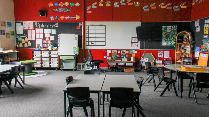 An empty classroom filled with toys, and a cardboard truck with a koala and a kangaroo on board