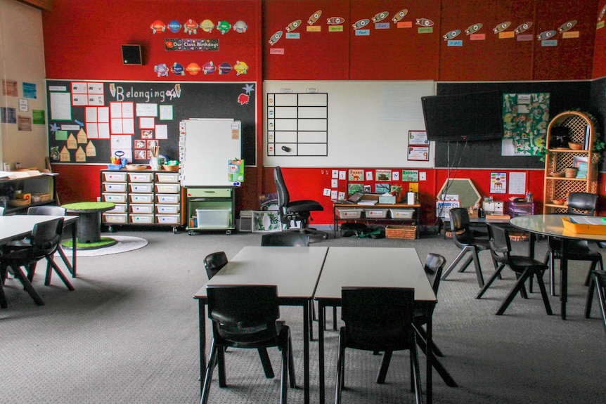 An empty classroom filled with toys, and a cardboard truck with a koala and a kangaroo on board