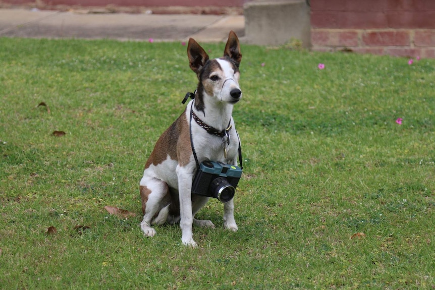 Ocky poses with his Snappy camera