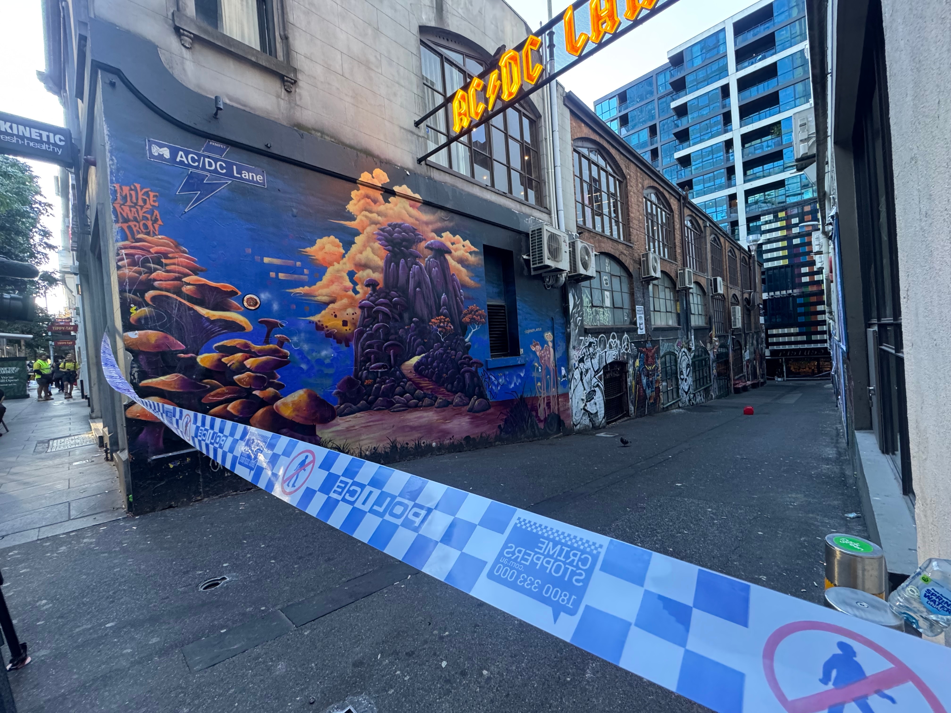 Teenagers arrested during alleged arson attack on Melbourne CBD bar