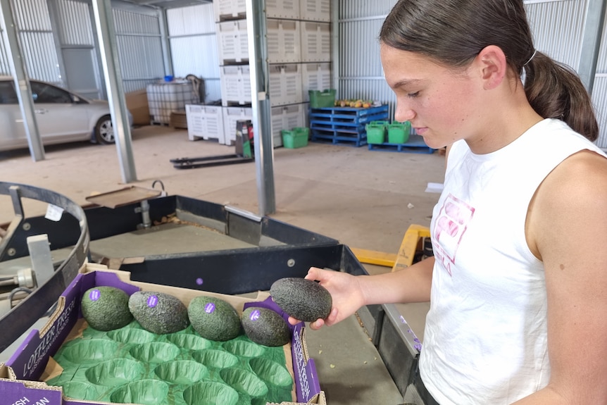 A young brunette woman holds an avocado