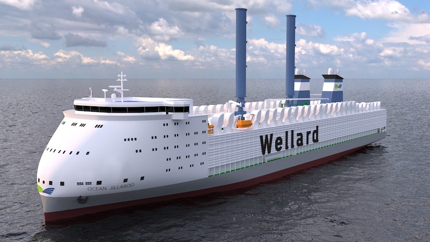 Wellard critique le vieillissement de la flotte d’exportation en direct et dévoile des plans pour construire un navire «vert»