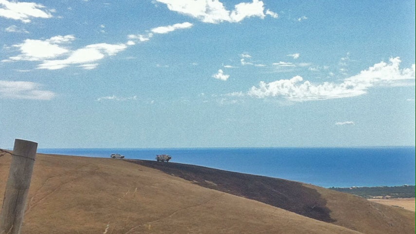 Fire blackened grassland at Sellicks Hill