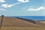 Fire blackened grassland at Sellicks Hill