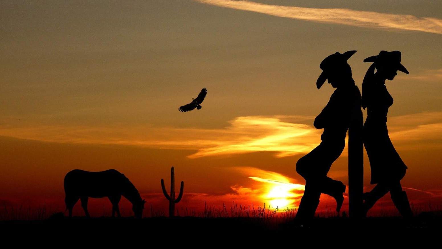 The Tower of Song's Romance Rodeo - ABC listen