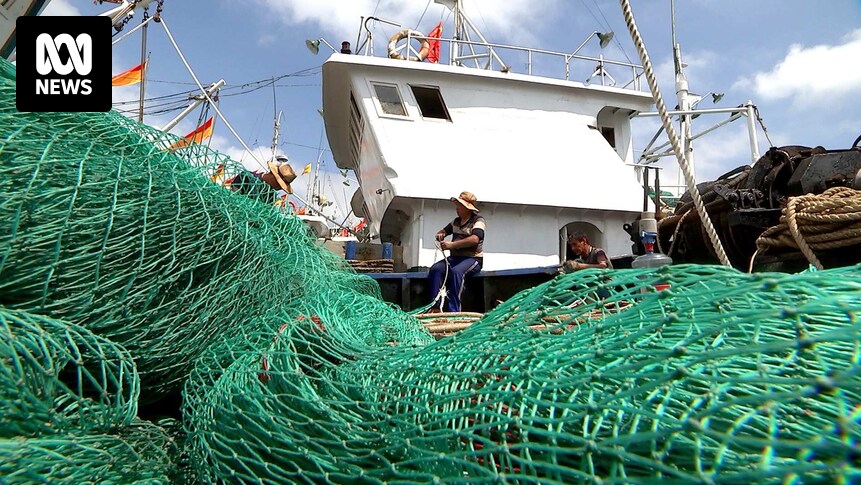 China's super trawlers are stripping the ocean bare as its hunger for  seafood grows - ABC News