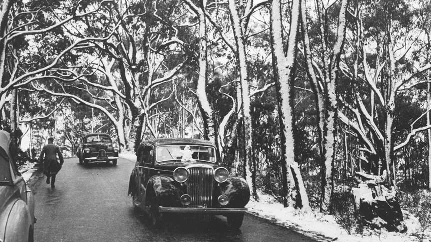 Black and white photograph of vintage cars amongst snowy trees. Snowman on the bonnet of one of the cars.