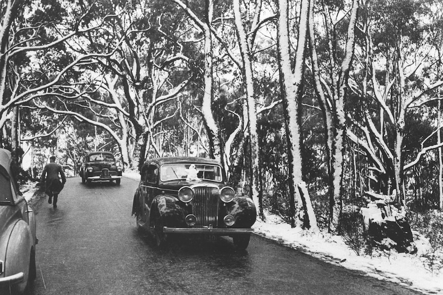 Black and white photograph of vintage cars amongst snowy trees. Snowman on the bonnet of one of the cars.