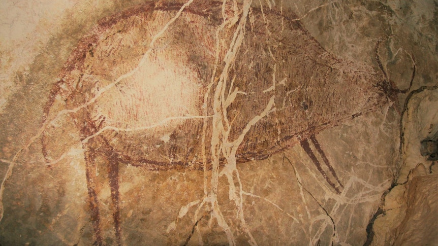 Gambar figuratif seekor banteng dari 40.000 tahun lalu.