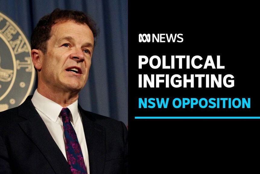 Political Infighting, NSW Opposition: NSW Opposition Leader Mark Speakman speaking during a media conference.